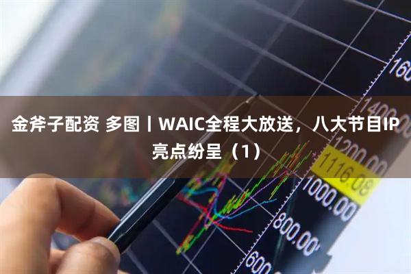 金斧子配资 多图丨WAIC全程大放送，八大节目IP亮点纷呈（1）