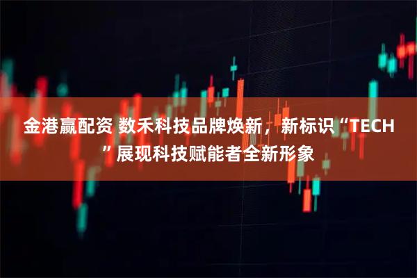 金港赢配资 数禾科技品牌焕新，新标识“TECH”展现科技赋能者全新形象
