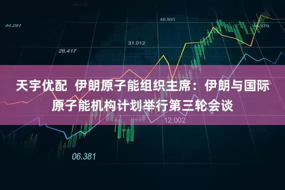 天宇优配  伊朗原子能组织主席：伊朗与国际原子能机构计划举行第三轮会谈