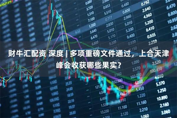 财牛汇配资 深度 | 多项重磅文件通过，上合天津峰会收获哪些果实？