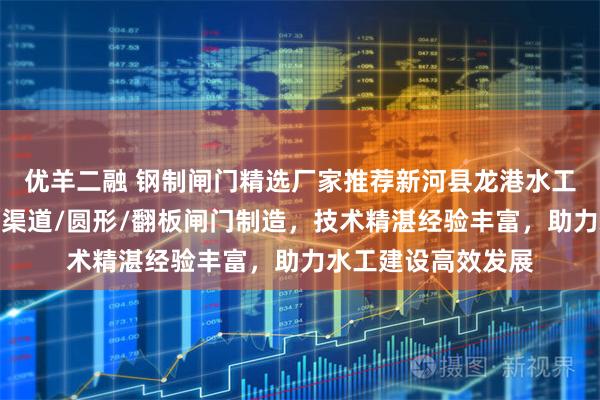 优羊二融 钢制闸门精选厂家推荐新河县龙港水工机械厂，专注钢制渠道/圆形/翻板闸门制造，技术精湛经验丰富，助力水工建设高效发展