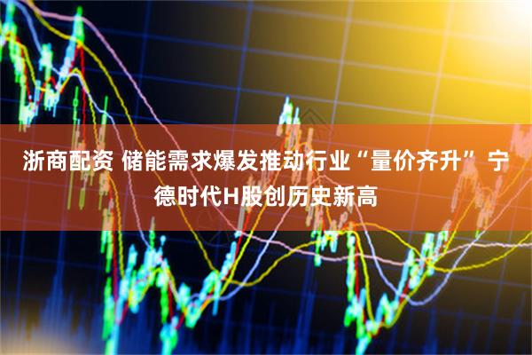 浙商配资 储能需求爆发推动行业“量价齐升” 宁德时代H股创历史新高