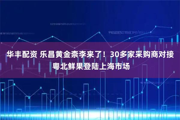华丰配资 乐昌黄金柰李来了！30多家采购商对接 粤北鲜果登陆上海市场
